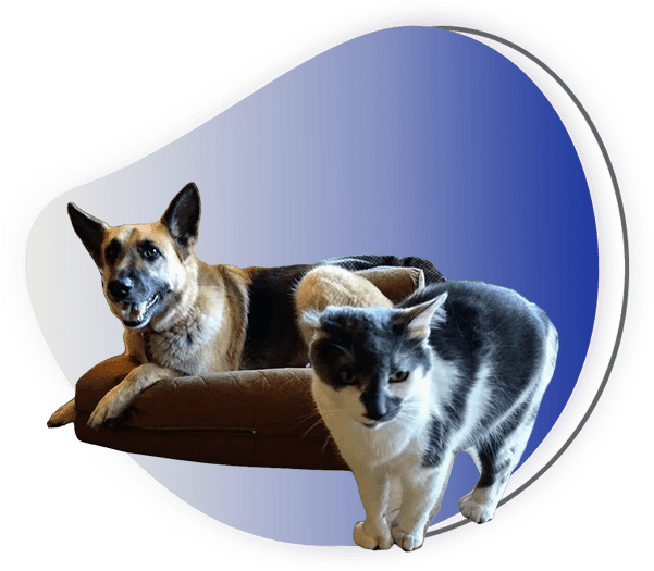 TruCare Pet Sitting & Dog Training